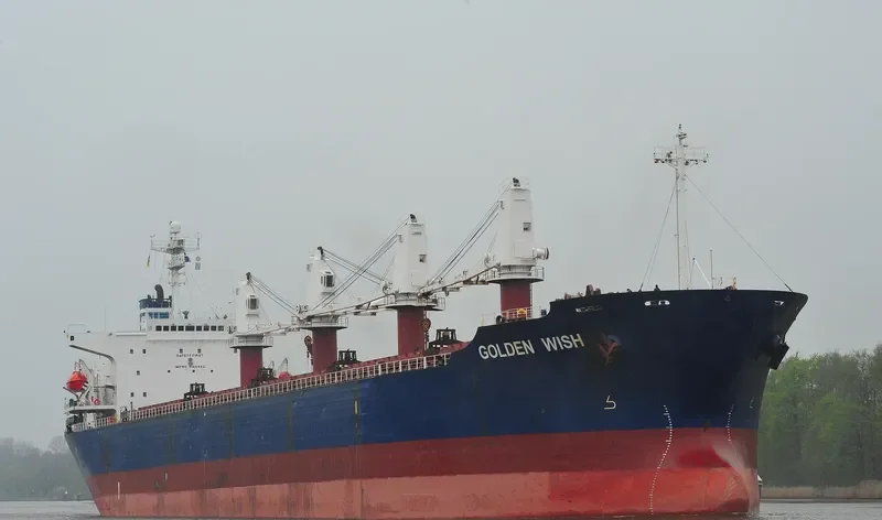 GULMAR Bulk Carrier IMO 9146962 photo 9