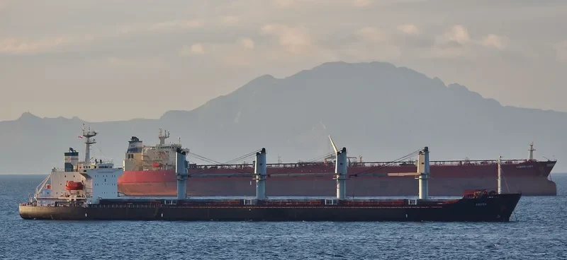 HONORINE Bulk Carrier IMO 9146974 photo 2