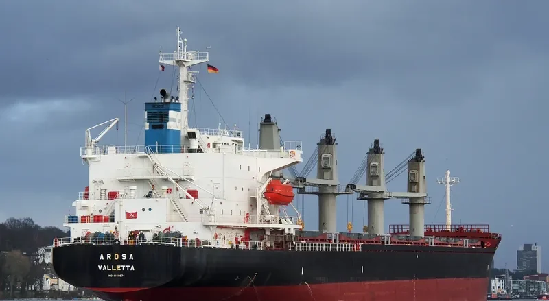 HONORINE Bulk Carrier IMO 9146974 photo 6