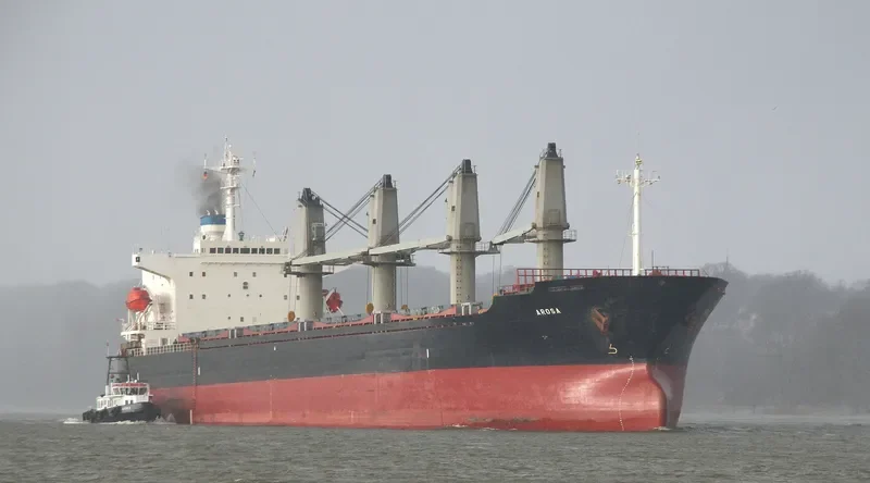 HONORINE Bulk Carrier IMO 9146974 photo 8