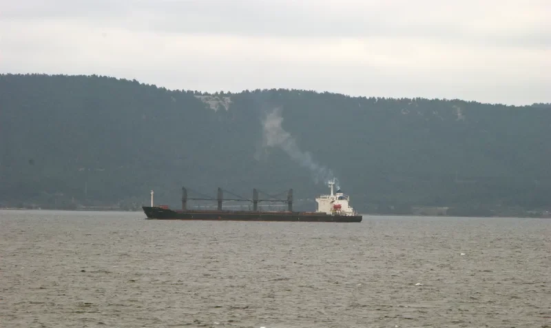 HONORINE Bulk Carrier IMO 9146974 photo 9