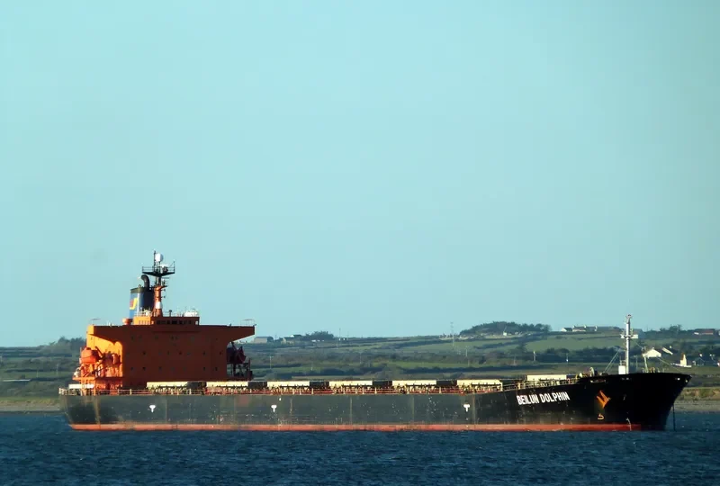 BEI LUN HAI TUN Bulk Carrier IMO 9146986
