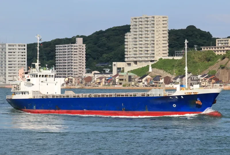 MAGNOLIA ACUMINATA General Cargo IMO 9147033