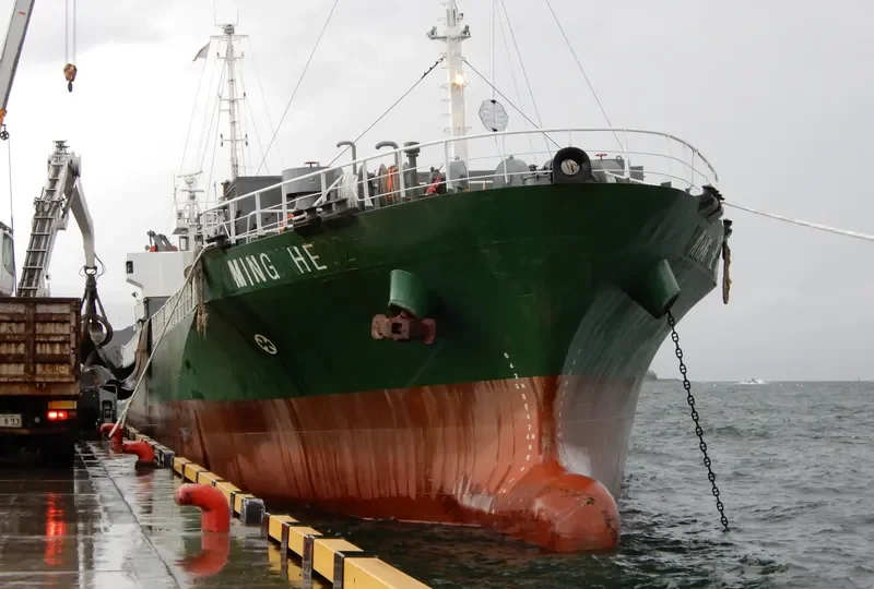 MING HE General Cargo IMO 9147057 photo 6