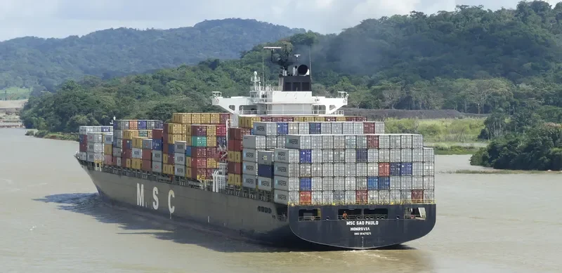 MSC SAO PAULO Container Ship IMO 9147071