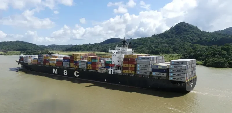 MSC SAO PAULO Container Ship IMO 9147071 photo 2