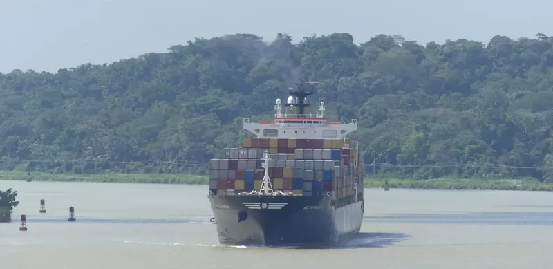 MSC SAO PAULO Container Ship IMO 9147071 photo 4