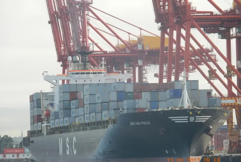 MSC SAO PAULO Container Ship IMO 9147071 photo 8