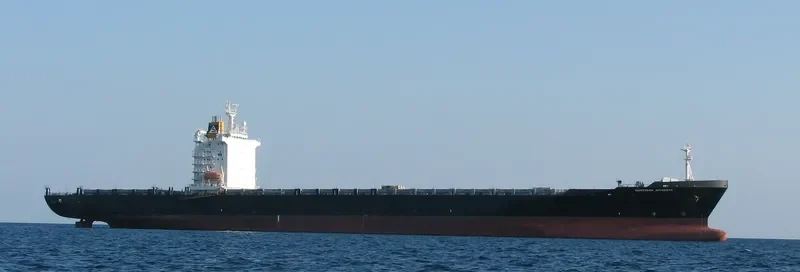 NORTHERN DIVERSITY Container Ship IMO 9147112 photo 3