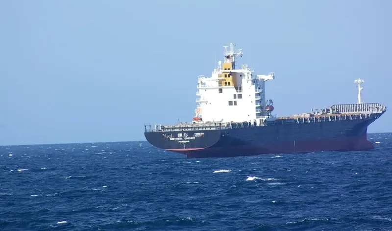 NORTHERN DIVERSITY Container Ship IMO 9147112 photo 5