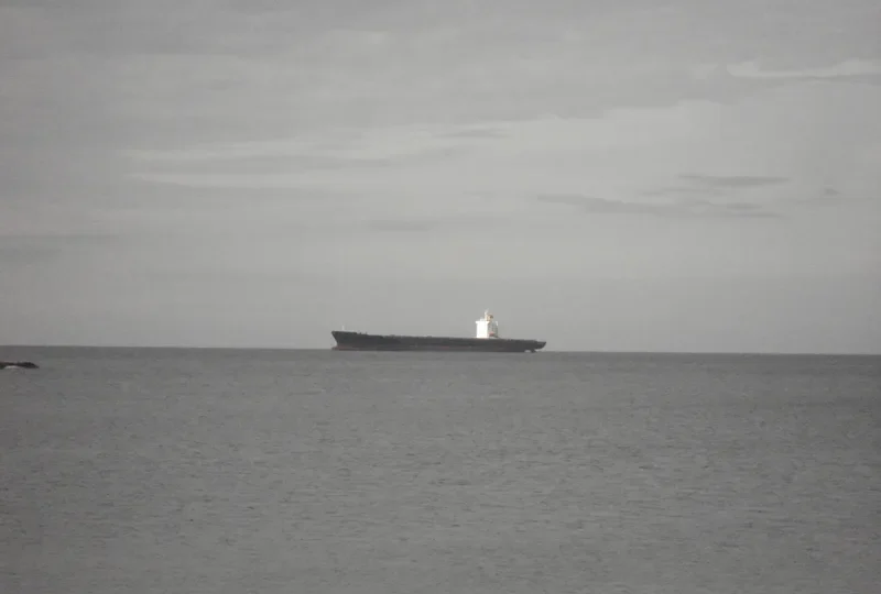 NORTHERN DIVERSITY Container Ship IMO 9147112 photo 6