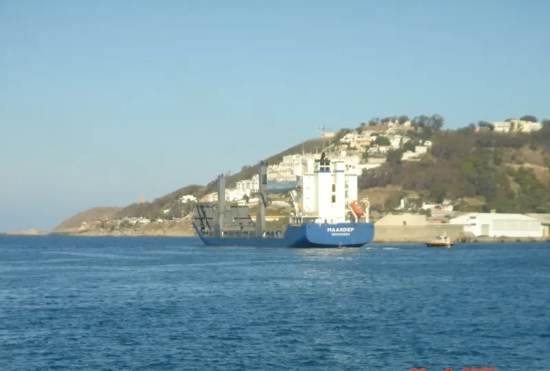 MERATUS DILI General Cargo IMO 9147124 photo 7