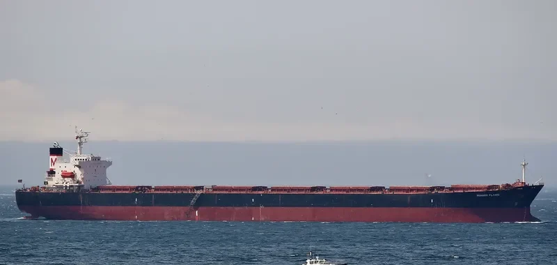 MINOAN FLAME Bulk Carrier IMO 9147423 photo 4