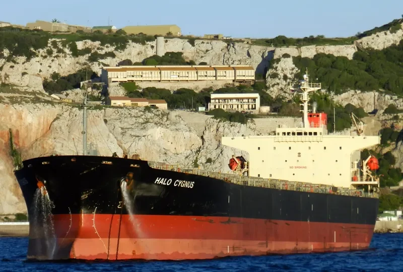 MINOAN FLAME Bulk Carrier IMO 9147423 photo 5