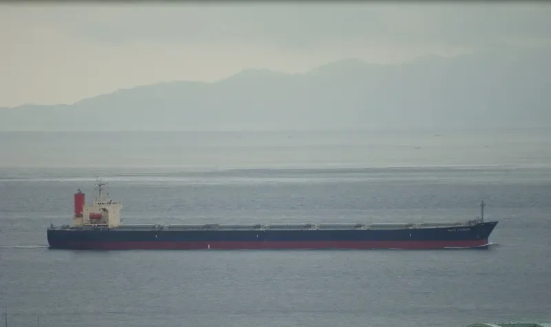 MINOAN FLAME Bulk Carrier IMO 9147423 photo 8