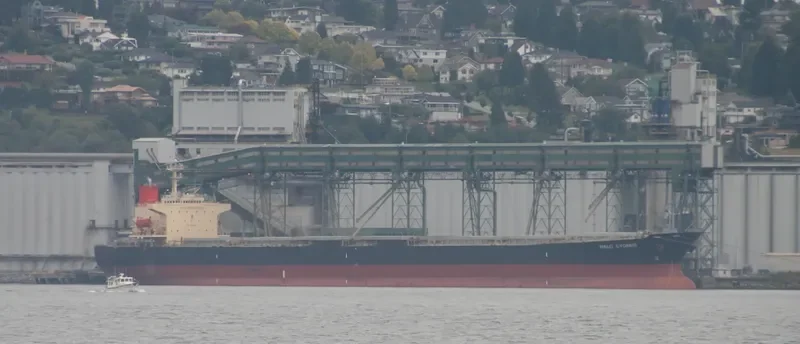 MINOAN FLAME Bulk Carrier IMO 9147423 photo 9