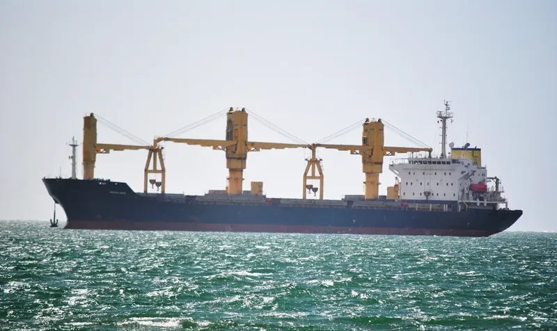 OCEAN HOPE General Cargo IMO 9147617 photo 6