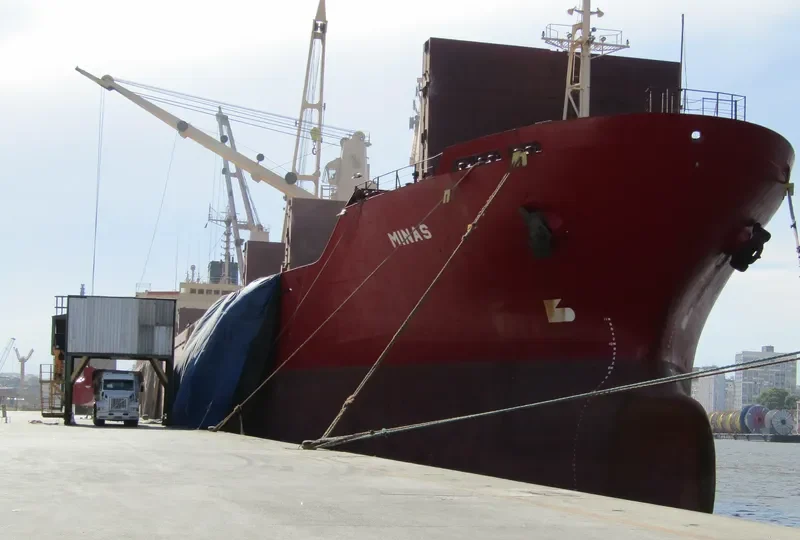EN OCEAN Bulk Carrier IMO 9147758