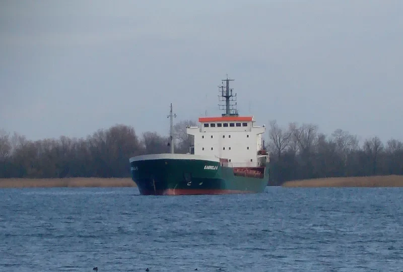 GABRIELA H Bulk Carrier IMO 9147863 photo 2