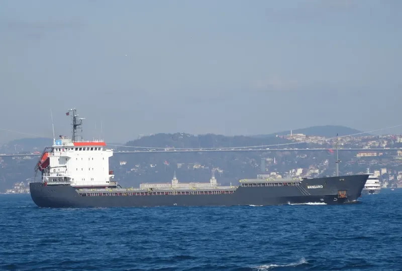 GABRIELA H Bulk Carrier IMO 9147863 photo 7