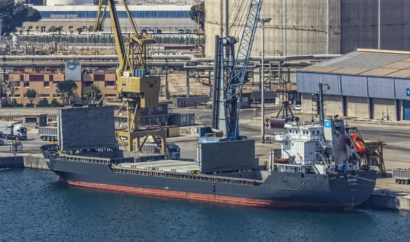 GABRIELA H Bulk Carrier IMO 9147863 photo 8