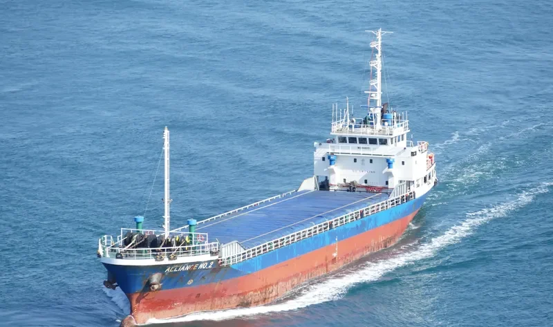 ALLIANCE NO.2 General Cargo IMO 9148013 photo 7
