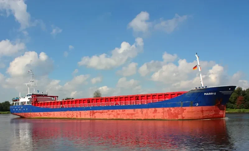 MARRY S General Cargo IMO 9148178