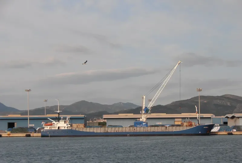 MARRY S General Cargo IMO 9148178 photo 9