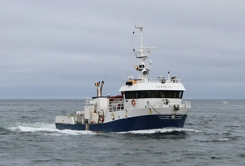 VIKING JUNIOR General Cargo IMO 9148441 photo 7
