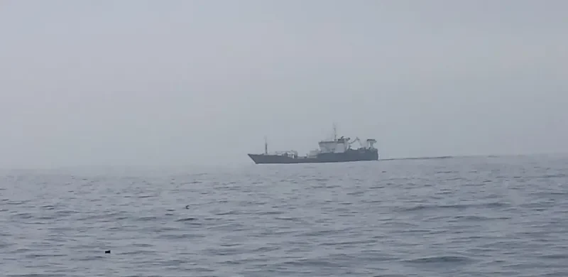 CORSARIO I General Cargo IMO 9148477