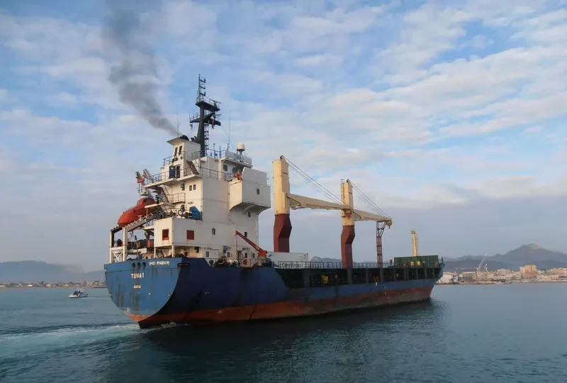THRONE General Cargo IMO 9148491 photo 7