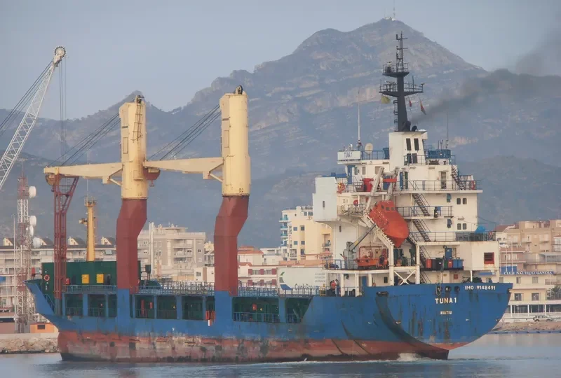 THRONE General Cargo IMO 9148491 photo 8