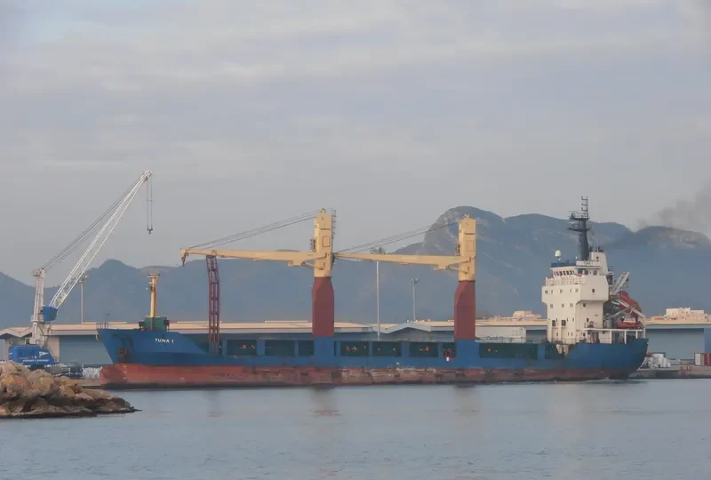 THRONE General Cargo IMO 9148491 photo 10