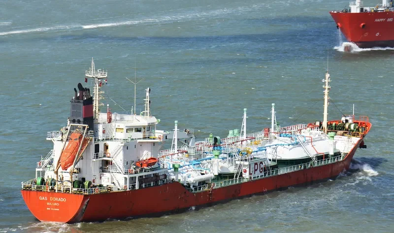 GAS SUCCESS General Cargo IMO 9148609 photo 3