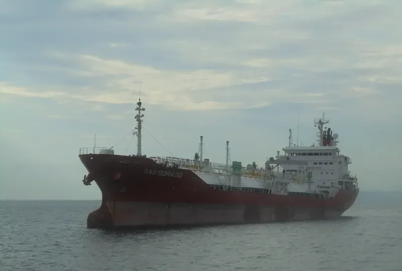 GAS SUCCESS General Cargo IMO 9148609 photo 5
