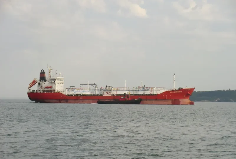 GAS SUCCESS General Cargo IMO 9148609 photo 8
