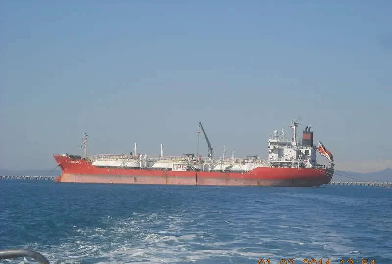 GAS SUCCESS General Cargo IMO 9148609 photo 10