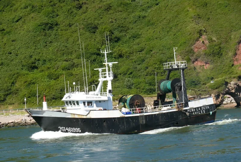 PENA LA DEVA General Cargo IMO 9148740 photo 3