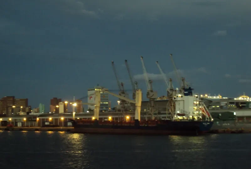 BLACK RHINO General Cargo IMO 9148790 photo 4