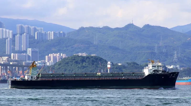 LAI WAN General Cargo IMO 9148879