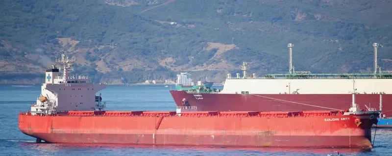 LILY BREEZE Bulk Carrier IMO 9149017 photo 3