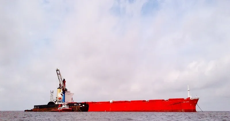 AN SHUN Bulk Carrier IMO 9149029 photo 2