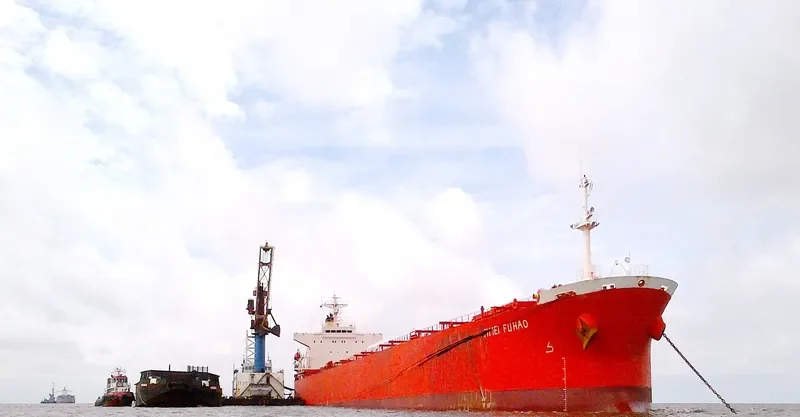 AN SHUN Bulk Carrier IMO 9149029 photo 4