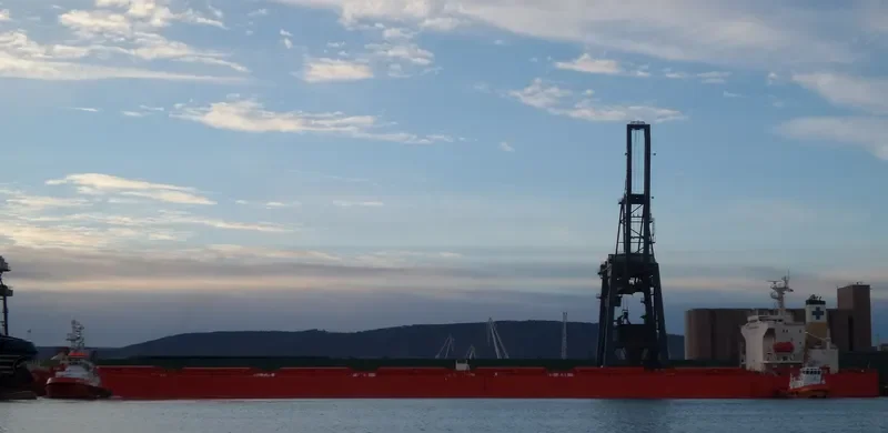 AN SHUN Bulk Carrier IMO 9149029 photo 8