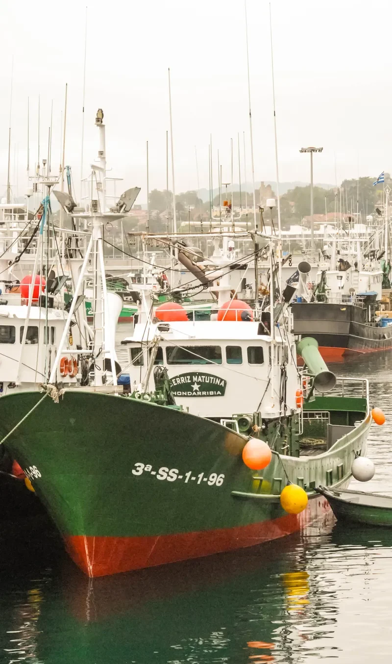 BERRIZ MATUTINA General Cargo IMO 9149108