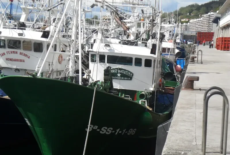 BERRIZ MATUTINA General Cargo IMO 9149108 photo 8
