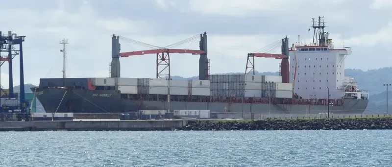 MSC NADRIELY Container Ship IMO 9149328