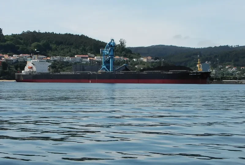 FORTUNE LADY Bulk Carrier IMO 9149366