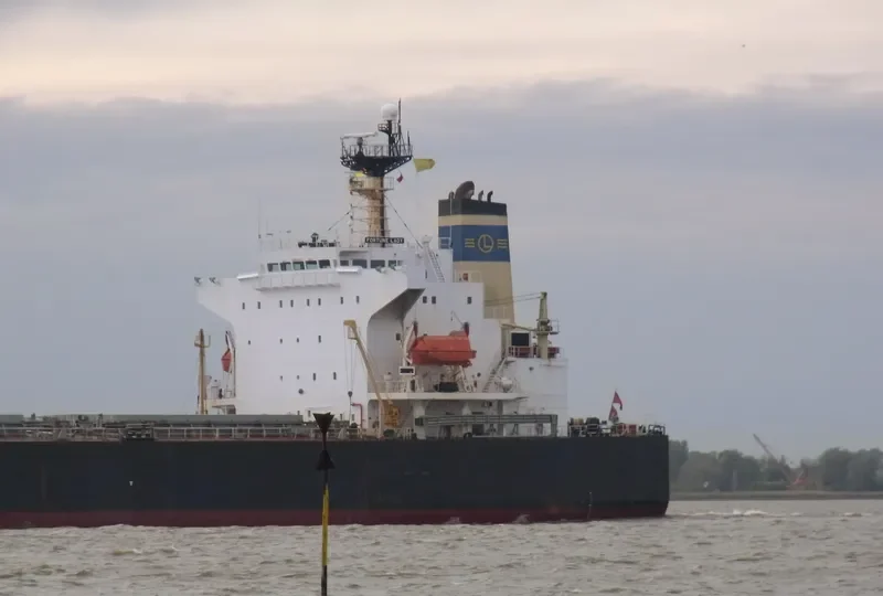 FORTUNE LADY Bulk Carrier IMO 9149366 photo 3