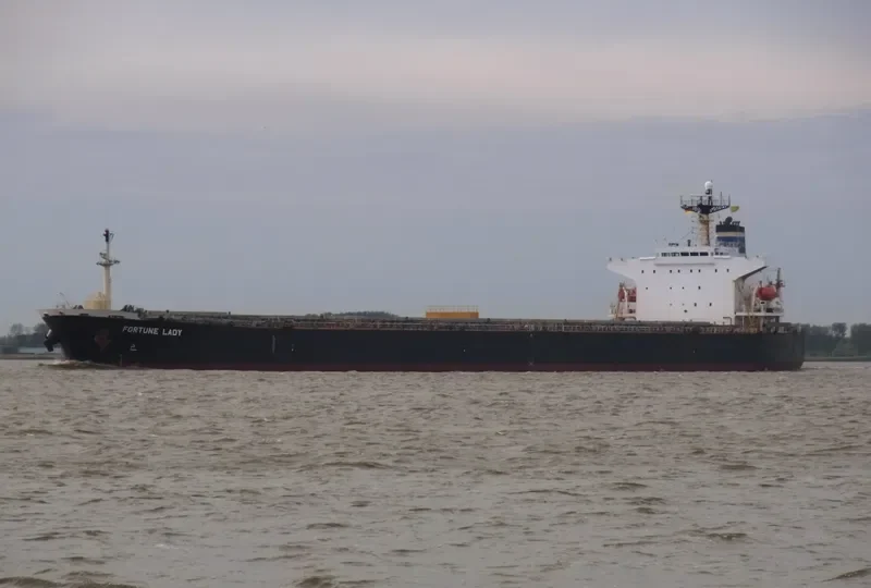 FORTUNE LADY Bulk Carrier IMO 9149366 photo 4